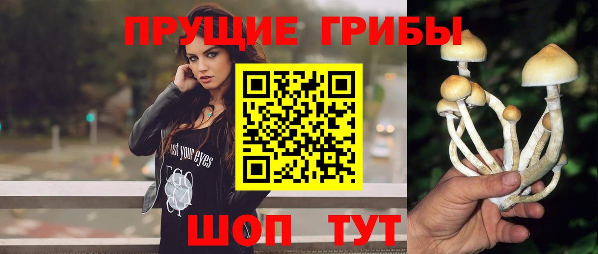 Галлюциногенные грибы мицелий  что такое наркотик  Лангепас  Вход с VPN 